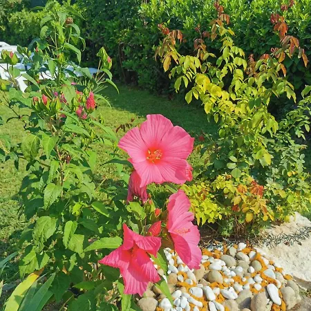 Ruggiero The Gallery